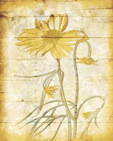 Calm Day Breeze Black Ornate Wood Framed Art Print with Double Matting by Grey, Jace