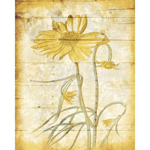 Calm Day Breeze Black Modern Wood Framed Art Print by Grey, Jace