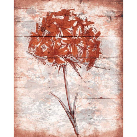 Calm Day Heat Mate Black Modern Wood Framed Art Print with Double Matting by Grey, Jace