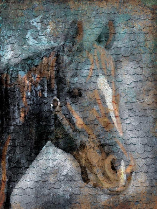 Image Only