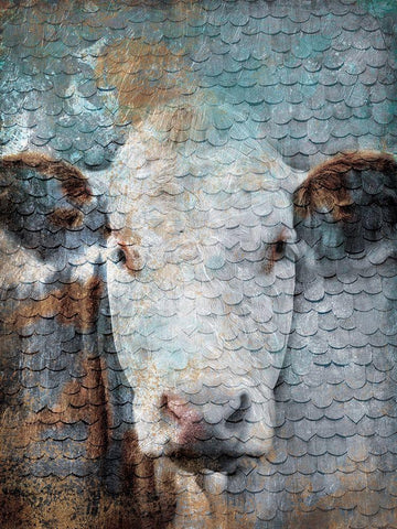 Cow Scales White Modern Wood Framed Art Print with Double Matting by Grey, Jace