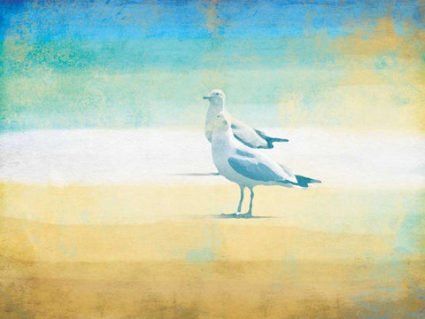 Birds On The Beach White Modern Wood Framed Art Print with Double Matting by Grey, Jace