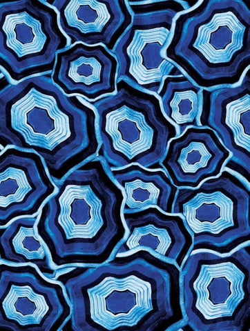 Plenty Of Blue Agates White Modern Wood Framed Art Print with Double Matting by Grey, Jace