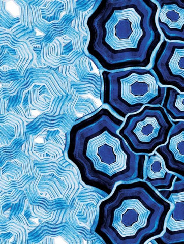 Other Half Of Blue White Agates Black Ornate Wood Framed Art Print with Double Matting by Grey, Jace