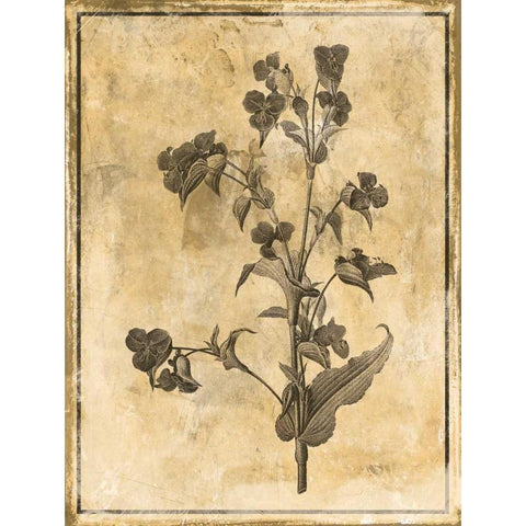 Stencil Floral White Modern Wood Framed Art Print by Grey, Jace