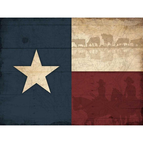 Texas Flag Black Modern Wood Framed Art Print with Double Matting by Grey, Jace