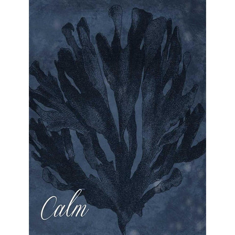 Blue Water Coral Calm Black Modern Wood Framed Art Print with Double Matting by Grey, Jace