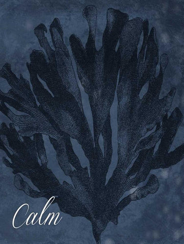 Blue Water Coral Calm Black Ornate Wood Framed Art Print with Double Matting by Grey, Jace