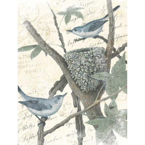 Bird Mail White Modern Wood Framed Art Print by Grey, Jace