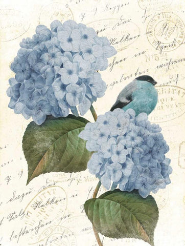 Bird Mail Two White Modern Wood Framed Art Print with Double Matting by Grey, Jace