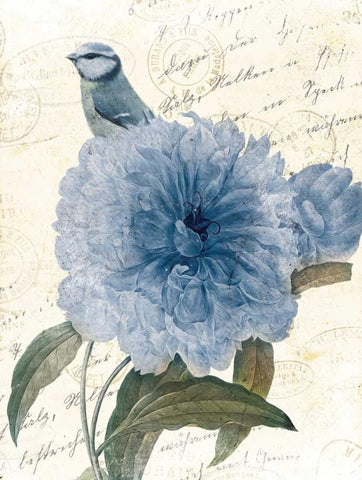 Bird Mail Three White Modern Wood Framed Art Print with Double Matting by Grey, Jace