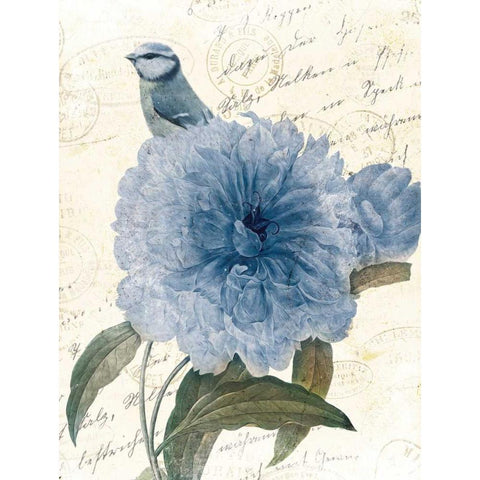 Bird Mail Three White Modern Wood Framed Art Print by Grey, Jace