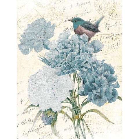 Bird Mail Four Black Modern Wood Framed Art Print with Double Matting by Grey, Jace