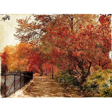 NY Fall Gold Ornate Wood Framed Art Print with Double Matting by Grey, Jace