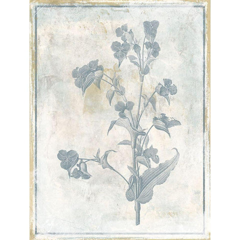 Sky Floral Gold Ornate Wood Framed Art Print with Double Matting by Grey, Jace