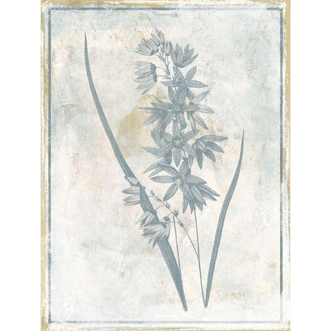 Sky Floral Three White Modern Wood Framed Art Print by Grey, Jace