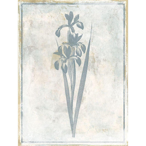 Sky Floral Four Black Modern Wood Framed Art Print with Double Matting by Grey, Jace