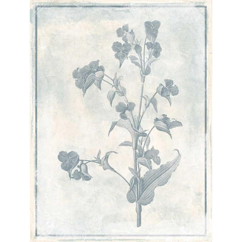 Sky Floral Cleaner Black Modern Wood Framed Art Print by Grey, Jace