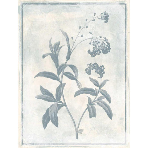 Sky Floral Two Cleaner Black Modern Wood Framed Art Print with Double Matting by Grey, Jace