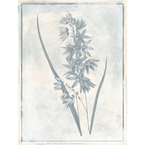 Sky Floral Three Cleaner Black Modern Wood Framed Art Print by Grey, Jace