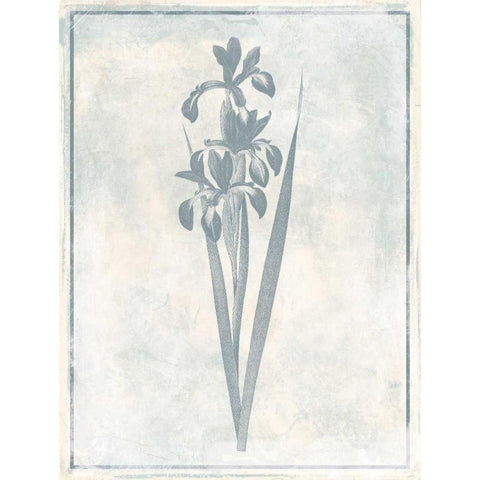 Sky Floral Four Cleaner White Modern Wood Framed Art Print by Grey, Jace