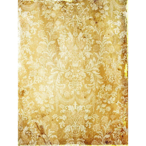 Golden Sunny Wall Gold Ornate Wood Framed Art Print with Double Matting by Grey, Jace