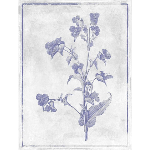 Monochrome Floral Lavender White Modern Wood Framed Art Print by Grey, Jace