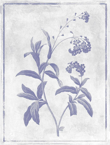 Monochrome Floral Lavender 2 White Modern Wood Framed Art Print with Double Matting by Grey, Jace