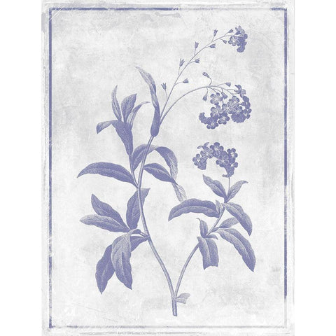 Monochrome Floral Lavender 2 Black Modern Wood Framed Art Print by Grey, Jace
