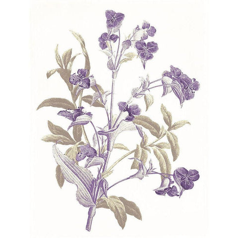 Lavender Flowers White Modern Wood Framed Art Print by Grey, Jace
