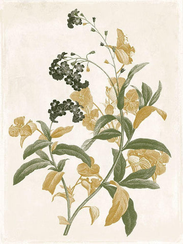 Green and Gold Flowers 2 White Modern Wood Framed Art Print with Double Matting by Grey, Jace