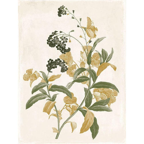 Green and Gold Flowers 2 Black Modern Wood Framed Art Print by Grey, Jace
