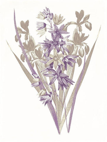 Lavender Flowers Three White Modern Wood Framed Art Print with Double Matting by Grey, Jace