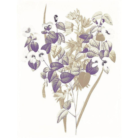 Lavender Flowers Four Black Modern Wood Framed Art Print with Double Matting by Grey, Jace