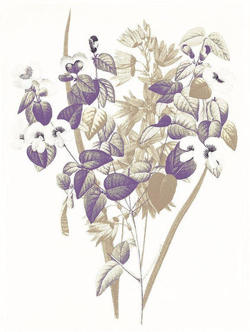 Lavender Flowers Four Black Ornate Wood Framed Art Print with Double Matting by Grey, Jace