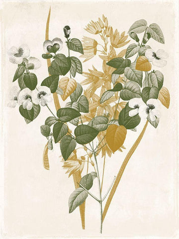 Green and Gold Flowers 4 Black Ornate Wood Framed Art Print with Double Matting by Grey, Jace