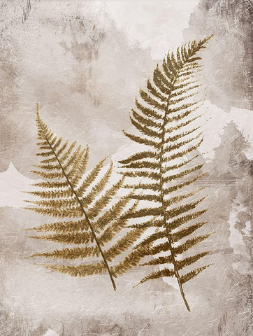 Mute Ferns White Modern Wood Framed Art Print with Double Matting by Grey, Jace