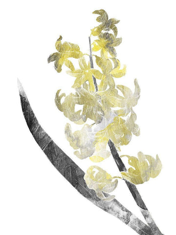 Single Flower Grey Yellow White Modern Wood Framed Art Print with Double Matting by Grey, Jace