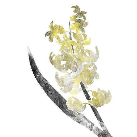 Single Flower Grey Yellow Black Modern Wood Framed Art Print by Grey, Jace