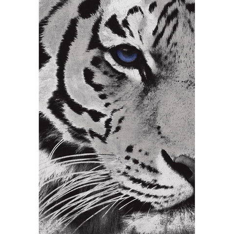 Tiger Purple Eye Gold Ornate Wood Framed Art Print with Double Matting by Grey, Jace