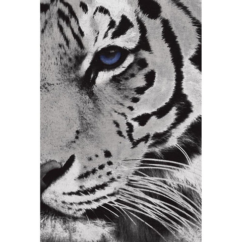 Tiger Purple Eye Mate Gold Ornate Wood Framed Art Print with Double Matting by Grey, Jace