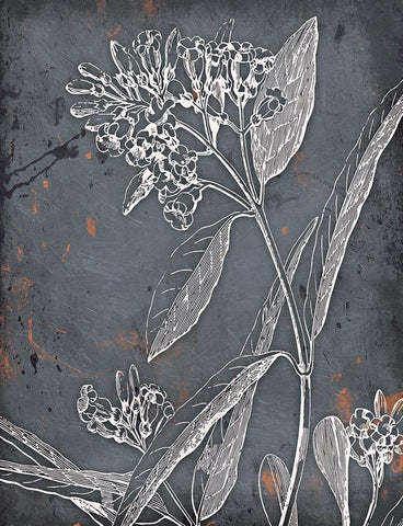 Cool Fall Flowers Black Ornate Wood Framed Art Print with Double Matting by Grey, Jace