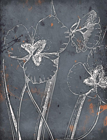Cool Fall Flowers Black Ornate Wood Framed Art Print with Double Matting by Grey, Jace