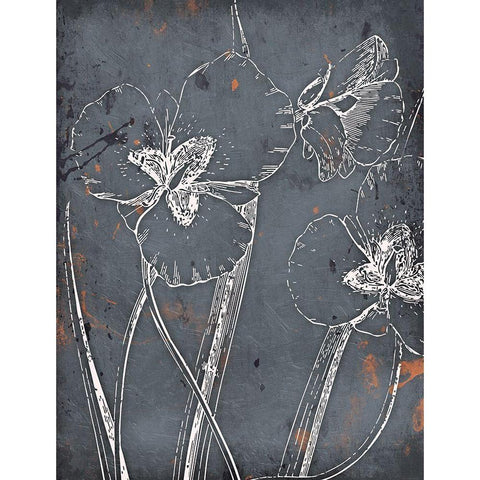 Cool Fall Flowers Black Modern Wood Framed Art Print by Grey, Jace