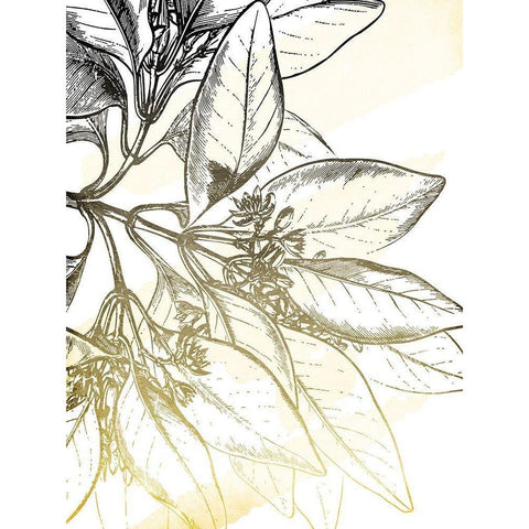 Fade Botanicals White Modern Wood Framed Art Print by Grey, Jace