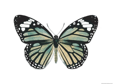 Neutral Butterfly White Modern Wood Framed Art Print with Double Matting by Grey, Jace