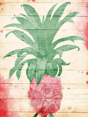 Pineapple Pink Henna White Modern Wood Framed Art Print with Double Matting by Grey, Jace