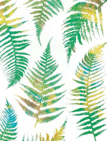 Bright Ferns White Modern Wood Framed Art Print with Double Matting by Grey, Jace