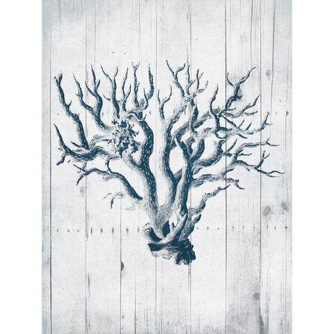 Coral White Wood Mate Black Modern Wood Framed Art Print with Double Matting by Grey, Jace