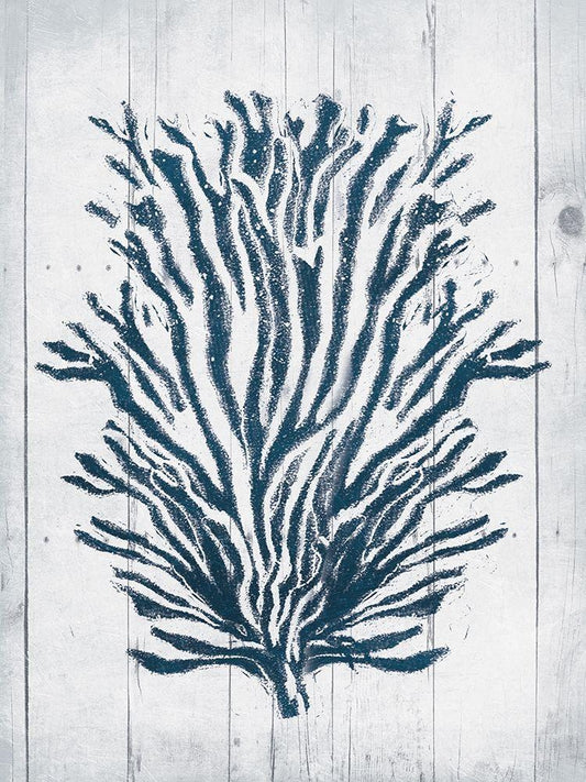 Image Only